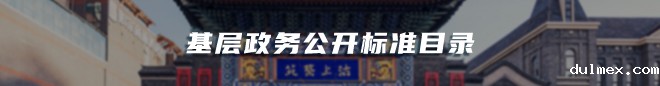基层政务公开标准目录